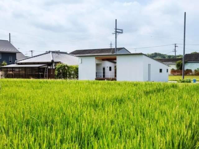 Kinh doanh - Làm nhà cấp 4 cạnh ruộng lúa, cả làng "thèm thuồng" vì quá "đáng sống"