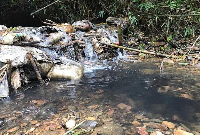 Vụ nước sạch Sông Đà nhiễm dầu: Bắt khẩn cấp hai đối tượng đổ trộm dầu thải - 1