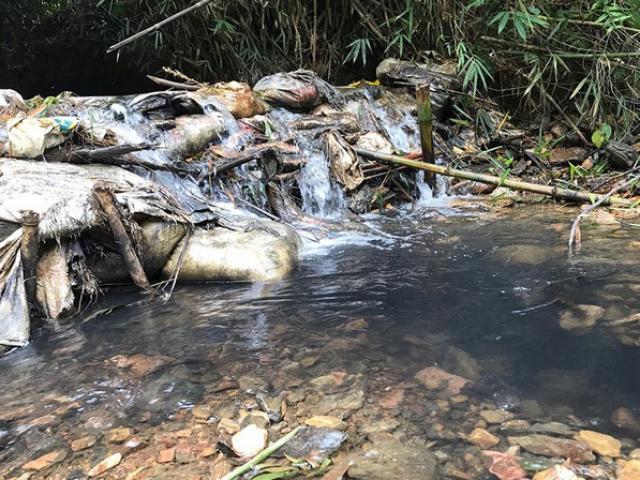 Tin tức trong ngày - Nóng 24h qua: Lời khai đầu tiên của đối tượng "đầu độc" nước sông Đà