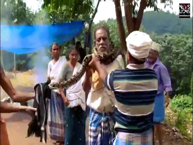 Phi thường - kỳ quặc - Video: Xông vào bắt trăn lớn bên đường, bị quấn chặt cổ, ngạt thở khuỵu xuống
