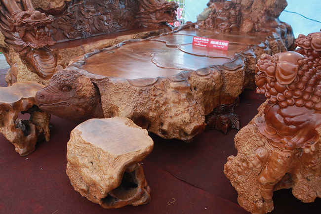 Nguyễn Ngọc Minh, chủ nhân của tác phẩm cho biết, bộ bàn ghế này làm hoàn toàn bằng gỗ nu đinh hương nghìn năm tuổi, rất quý hiếm, có giá 5 tỷ đồng.