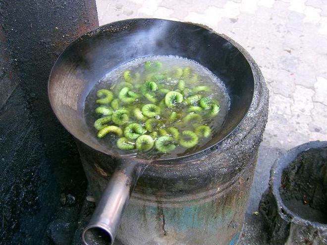 Rùng mình với món sâu nấu "đủ kiểu" của Giang Tô - 3