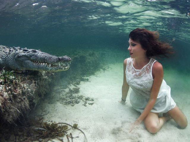 Người mẫu xinh đẹp mạo hiểm tạo dáng trước miệng cá sấu