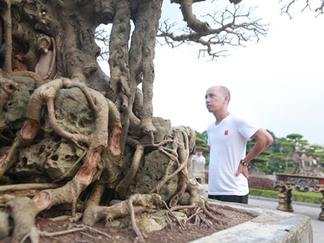 Thị trường - Tiêu dùng - Sanh “Ngai vàng đất Việt” mua 10 triệu, sau 15 năm trả vài tỷ không bán