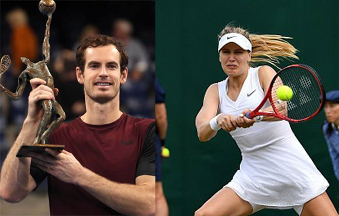Andy Murray áp sát top 200 thế giới, Bouchard rớt 68 bậc