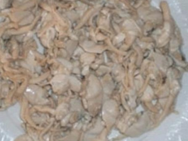 Ẩm thực - Phi cầu sài xứ Thanh - đặc sản tiến Vua lạ, siêu ngon và quý hiếm