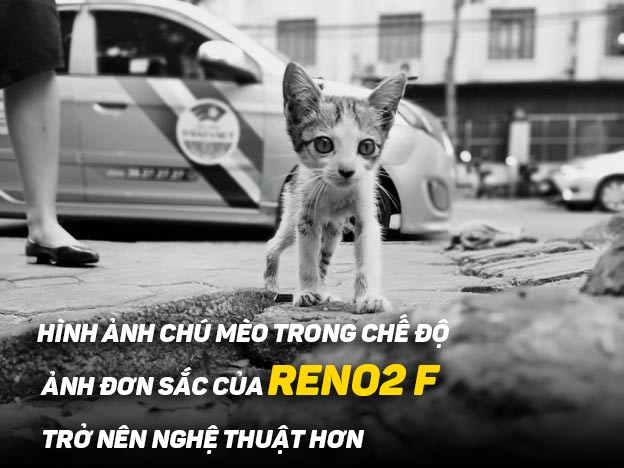 Với OPPO Reno2 F và Reno2, mỗi người đều có thể trở thành nhiếp ảnh gia sáng tạo nhất! - 5