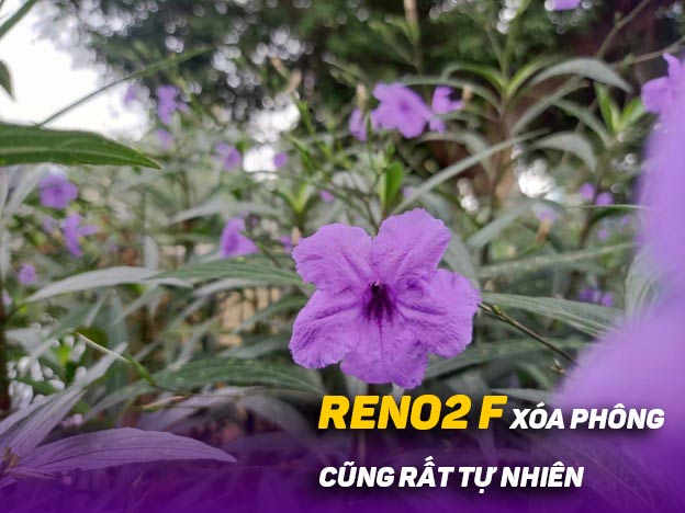 Với OPPO Reno2 F và Reno2, mỗi người đều có thể trở thành nhiếp ảnh gia sáng tạo nhất! - 6