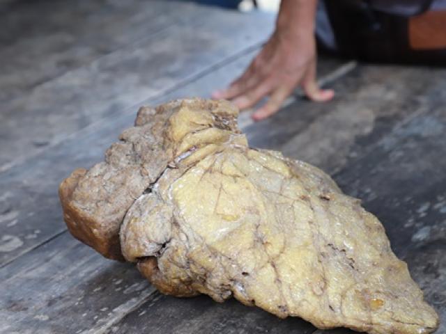 Thị trường - Tiêu dùng - Người đàn ông sắp giàu to nhờ tìm thấy vật lạ nghi rất quý có thể gần 8 tỷ