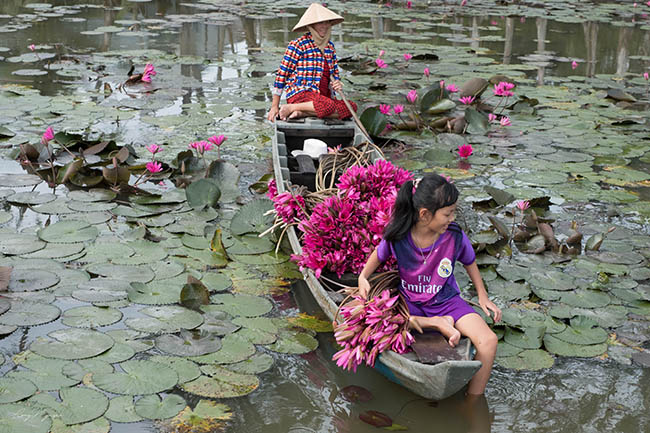 Ghé An Giang mùa nước nổi, mê mẩn ngắm cánh đồng hoa súng đẹp như mơ - 4