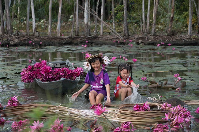 Ghé An Giang mùa nước nổi, mê mẩn ngắm cánh đồng hoa súng đẹp như mơ - 8