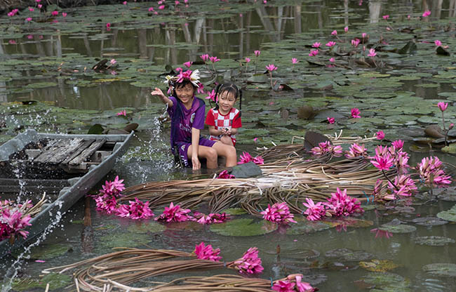 Ghé An Giang mùa nước nổi, mê mẩn ngắm cánh đồng hoa súng đẹp như mơ - 10