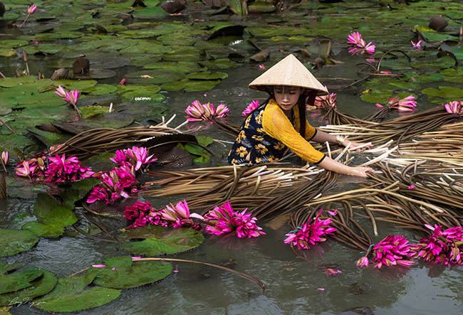 Ghé An Giang mùa nước nổi, mê mẩn ngắm cánh đồng hoa súng đẹp như mơ - 7