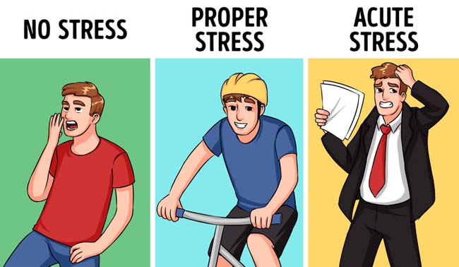 3 cấp độ căng thẳng hủy hoại sức khỏe không tưởng, hầu như ai cũng mắc - 2