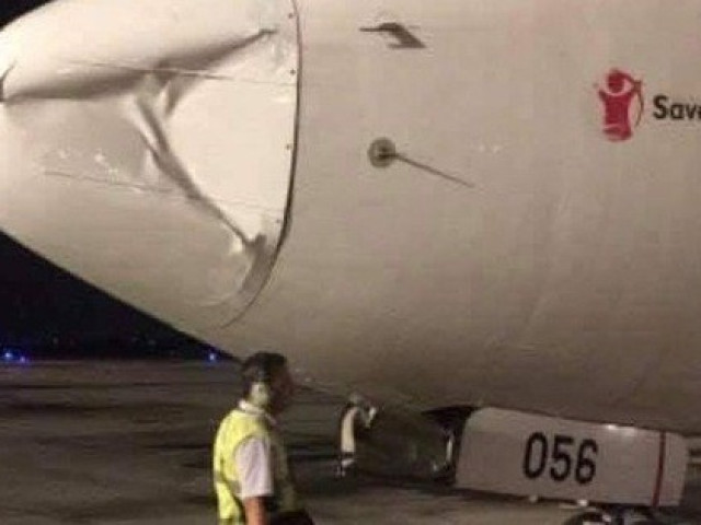 Tin tức trong ngày - Thêm máy bay từ TP HCM bị móp mũi radar, Bộ GTVT báo cáo Phó Thủ tướng