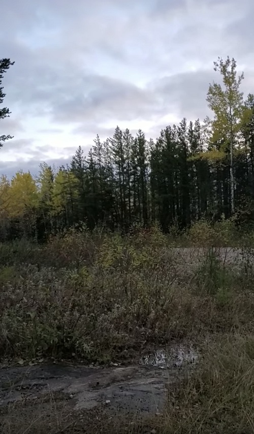 Âm thanh lạ vang lên suốt 5 phút.