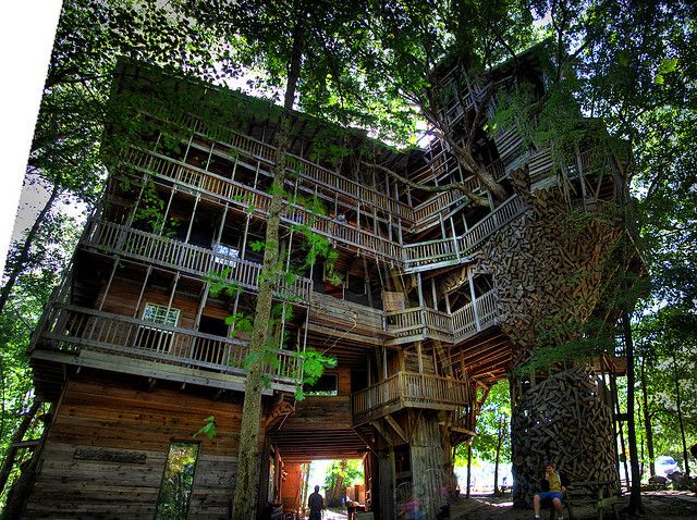 Minister's Tree House là ngôi nhà cây lớ n nhất thế giới và mất 19 năm để hoàn thành (Ảnh: Chuck Sutherland)