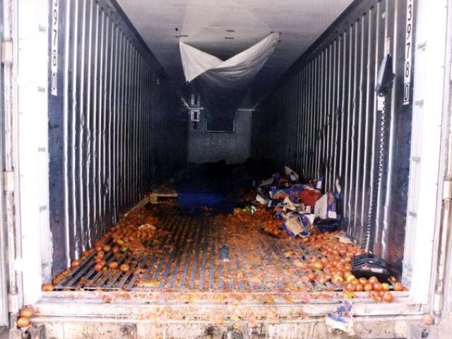 58 thi thể chồng chất trong container và hành trình kinh hoàng đến Anh "đổi đời"