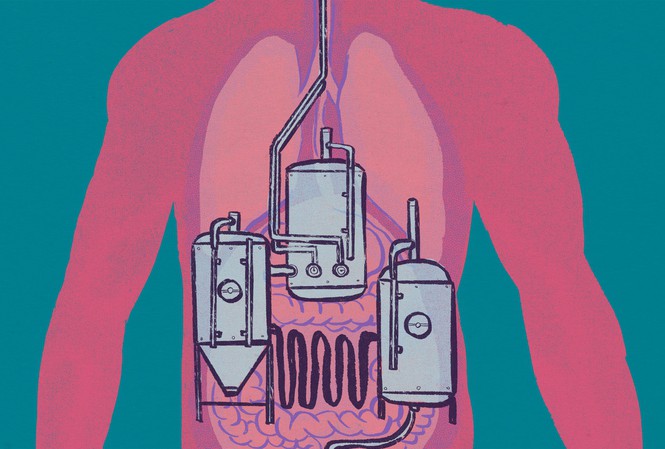 Kỳ lạ người đàn ông không uống cũng say vì ruột tự sinh ra rượu - 1