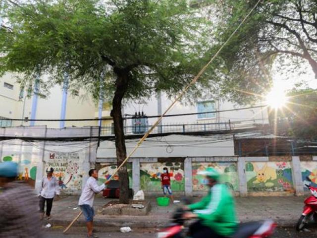 Nghề lạ ở Sài Gòn: Cầm gậy dài 15m ra đường mà ”hái ra tiền”