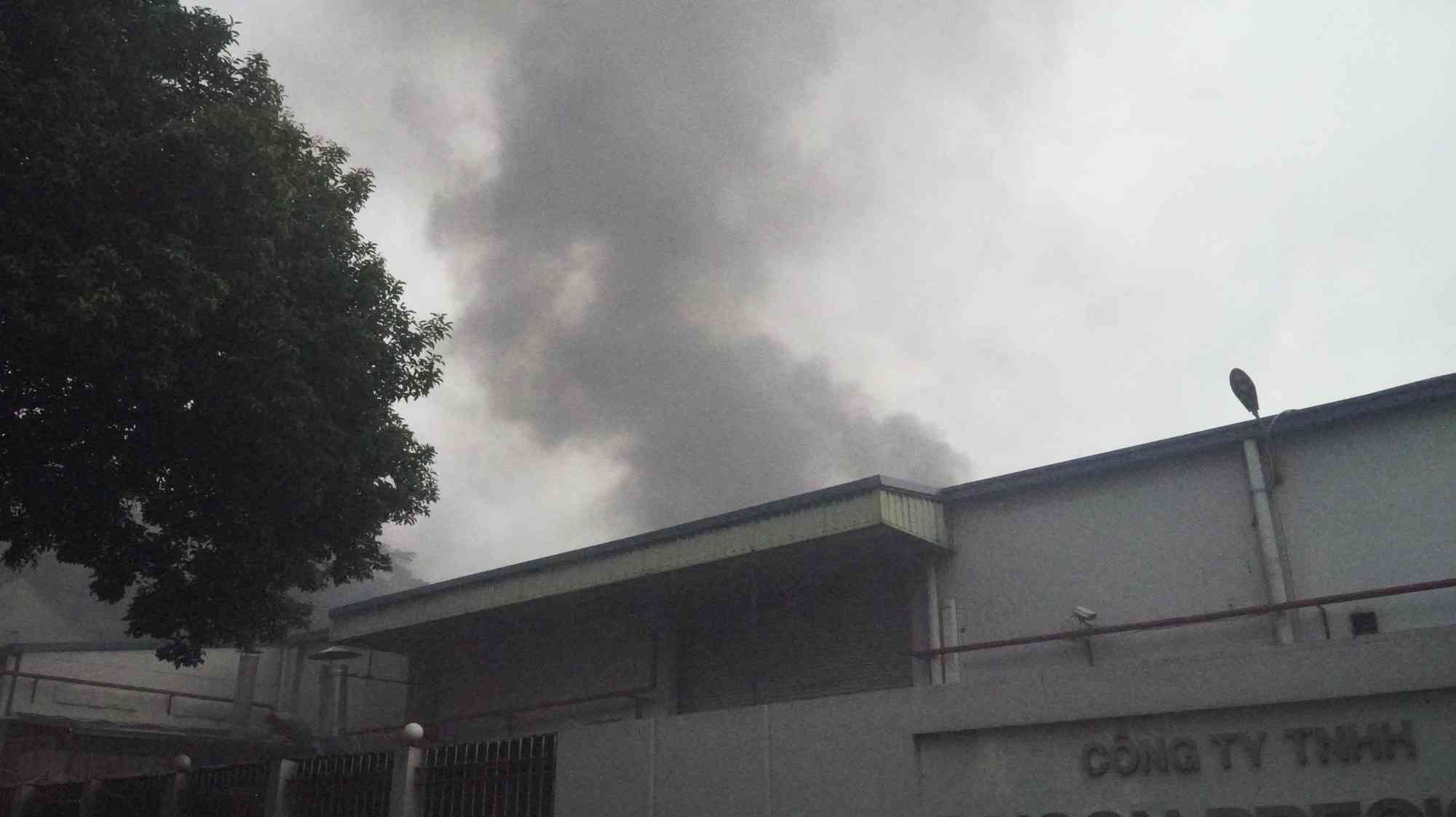 Một công ty nằm trong Khu chế Xuất Linh Trung 1, quận Thủ Đức, TP HCM bất ngờ bị cháy