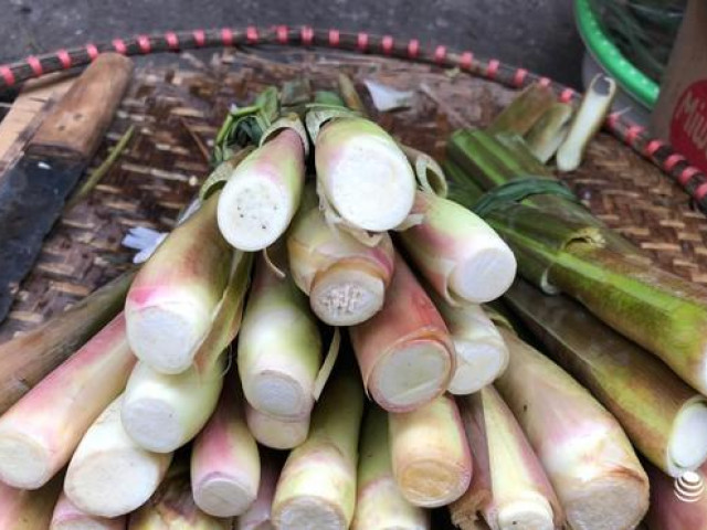 Thị trường - Tiêu dùng - Loại củ dân dã rẻ tiền nay thành đặc sản, chị em tấm tắc khen ngon