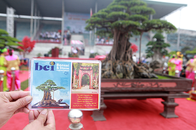 Năm 2010, tác phẩm tham dự Triển lãm cây cảnh chào đón sự kiện 1000 năm Thăng Long –Hà Nội. Năm 2012, tác phẩm được xuất hiện trên trang bìa Tạp chí BCI danh giá của Mỹ.