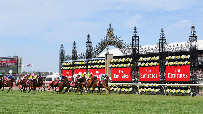 Những điểm đến tuyệt vời nhất cho tháng 11 này - 6