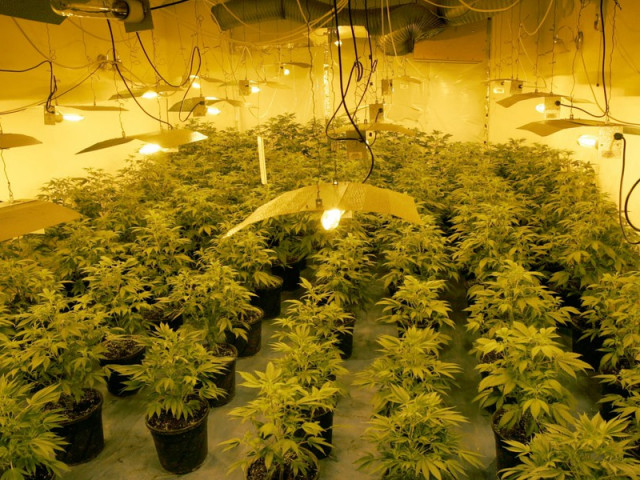 Thế giới - Vương quốc Anh và những ảo mộng về 'miền đất hứa'