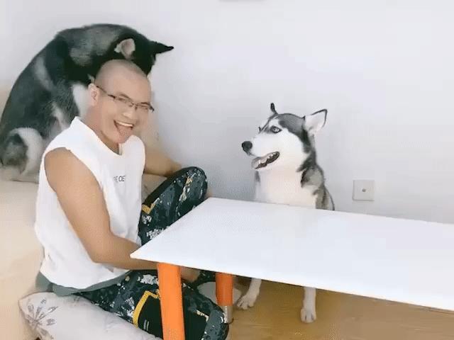 Cười 24H - Muốn lừa anh không dễ vậy đâu nha sen