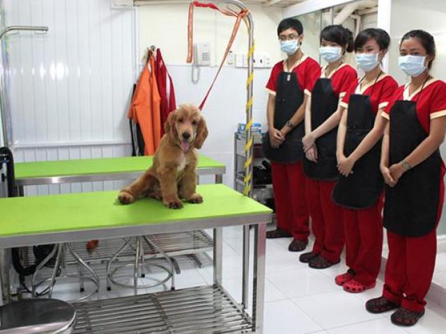 Tài chính - Việt Nam có một “khách sạn” 5 sao độc nhất vô nhị dành riêng cho… thú cưng