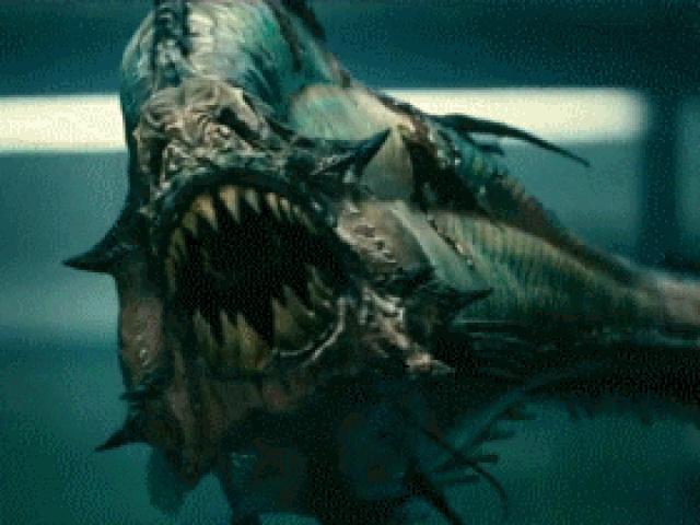 Media - Những "sát thủ" săn mồi khát máu bậc nhất hành tinh