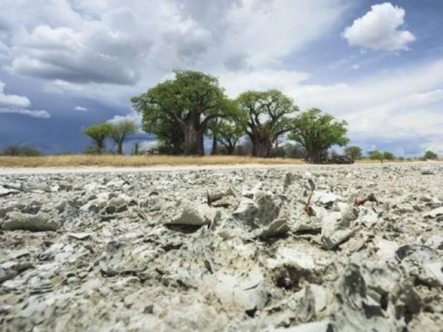 Thế giới - Phát hiện bất ngờ về nơi được cho là "cái nôi" của loài người