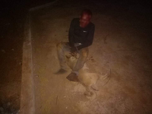 Mang kích điện đi trộm chó, bị dân làng vây bắt đánh tử vong - 2