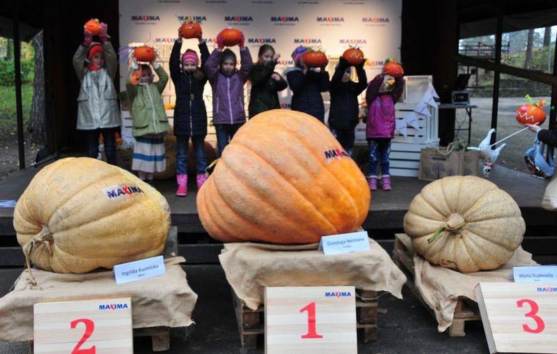 3 giải quan trọng tại cuộc thi năm nay được trao.