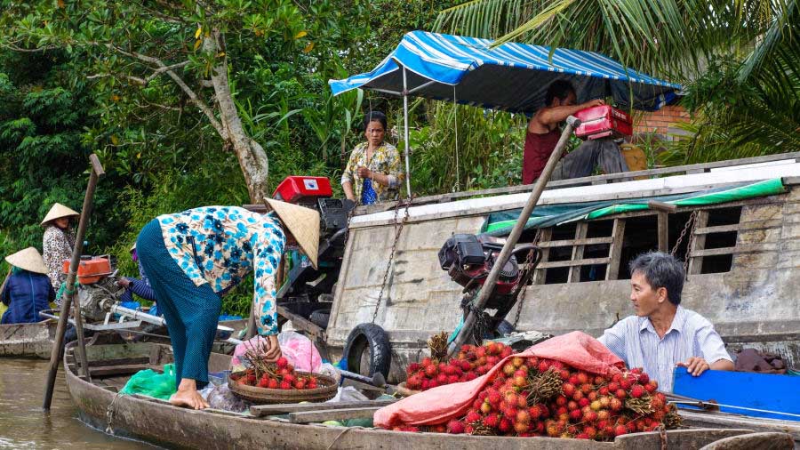 CNN chia sẻ bí kíp đi phượt tại Việt Nam - 13