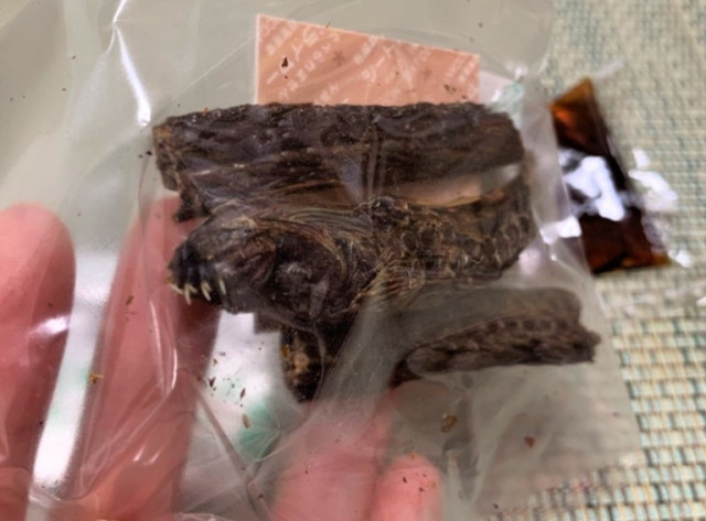 Mỳ ramen cá mặt quỷ của Nhật khiến thực khách khiếp vía - 4