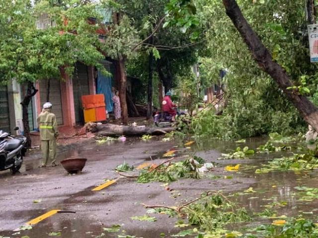 Quảng Ngãi: 11 người bị thương, 549 nhà sập và hư hỏng do bão số 5