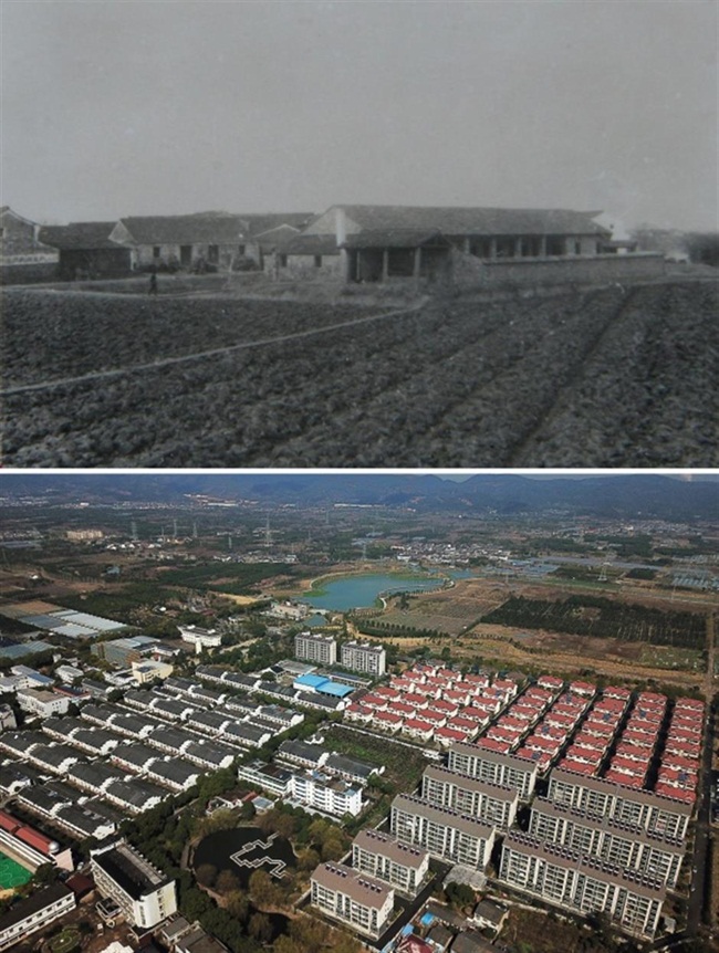 Tengtou là một ngôi làng ở Fenghua, Ninh Ba, Chiết Giang, Trung Quốc.