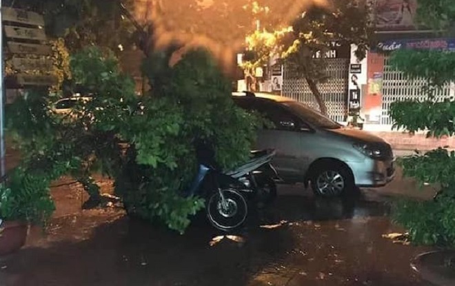 Bão số 5 Matmo gây nhiều thiệt hại cho người dân các tỉnh Nam Trung Bộ