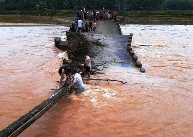 Người dân ghép cây để làm cầu tạm vượt sông rất nguy hiểm.