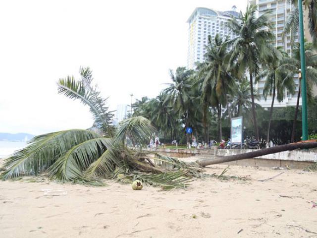 Tin tức trong ngày - Đầu tuần, miền Bắc hửng nắng, miền Trung khả năng hứng bão