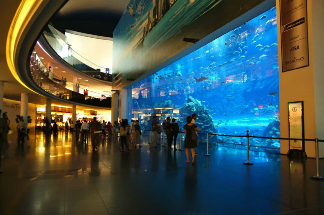 Vườn thú và công viên hải dương Dubai: Nằm trong trung tâm mua sắm Dubai, vườn thú là nơi sinh sống của hơn 33.000 động vật dưới nước bao gồm loài cá mập hổ khổng lồ.
