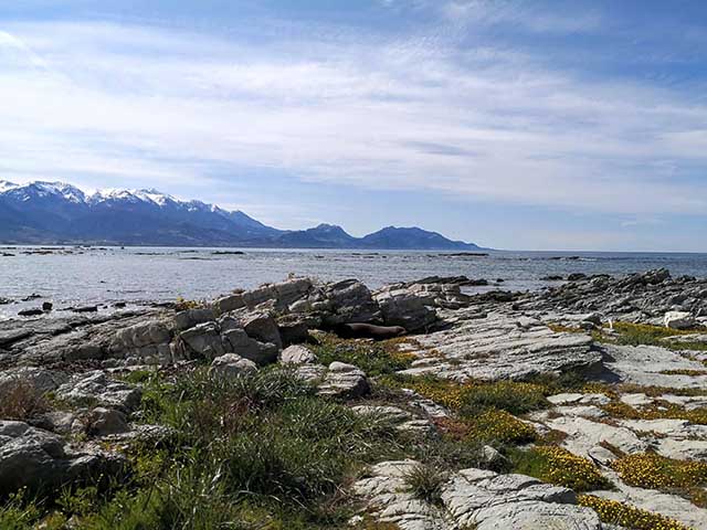 7 điều tuyệt vời hoàn toàn miễn phí có thể làm ở New Zealand - 11