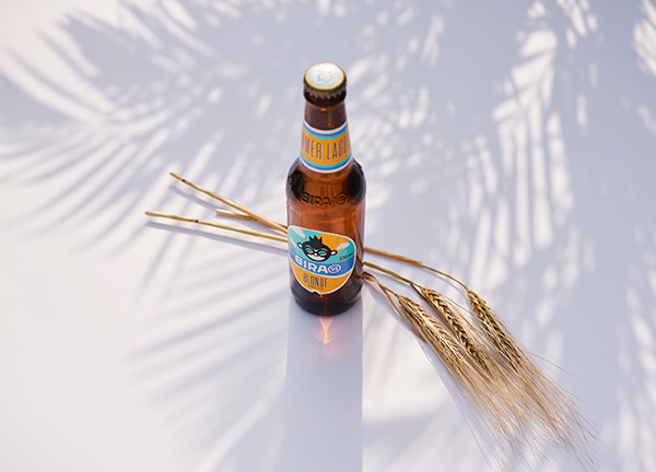 Đại mạch Barley cao cấp là thành phần chính tinh tuý trong cả 3 dòng bia của Bira 91