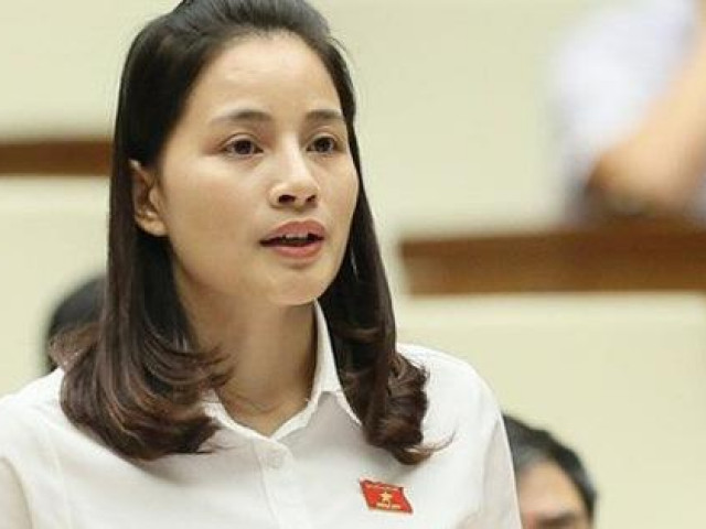 Tin tức trong ngày - ĐBQH đau xót khi phụ nữ cuối thai kỳ bị rủ rê sang Trung Quốc bán bào thai