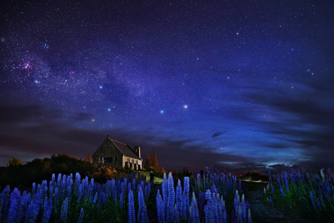 Mùa xuân đẹp quên lối về của thiên đường hạ giới New Zealand - 4