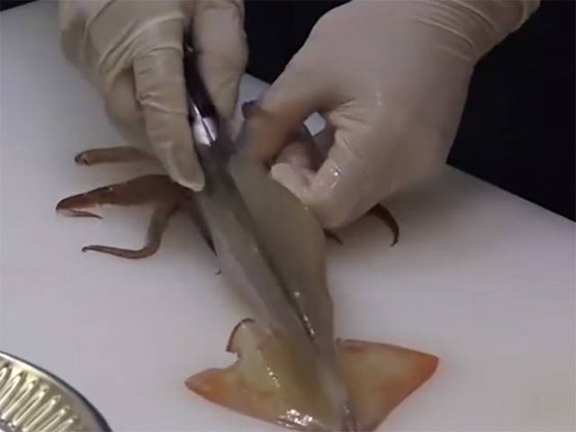 Cận cảnh quá trình chế biến sashimi mực từ bếp tới miệng ăn chỉ trong nháy mắt