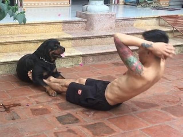 Chó giữ chân giúp chủ tập thể hình ở Việt Nam gây sốt trên báo nước ngoài