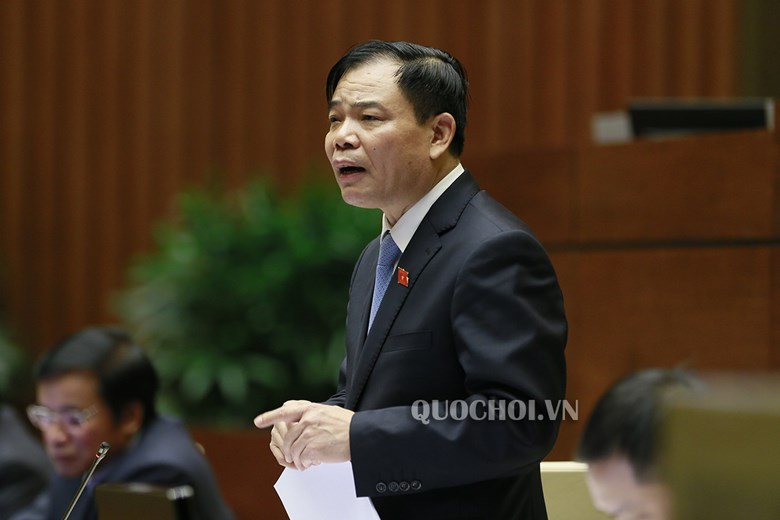 Bộ trưởng Nguyễn Xuân Cường trả lời chất vấn trước Quốc hội sáng 6/11 (ảnh quochoi.vn).